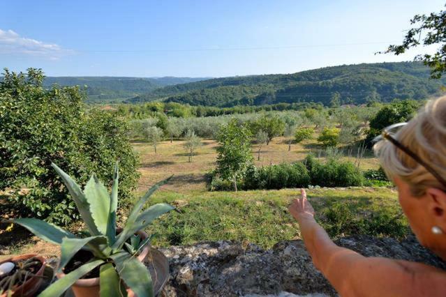 Cozy Istrian House Guest House Izola Exterior photo
