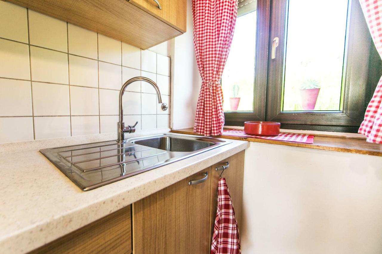 Cozy Istrian House Guest House Izola Exterior photo