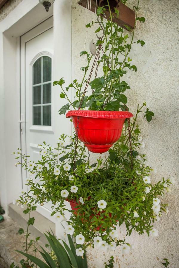 Cozy Istrian House Guest House Izola Exterior photo