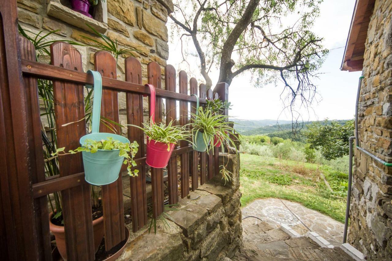 Cozy Istrian House Guest House Izola Exterior photo