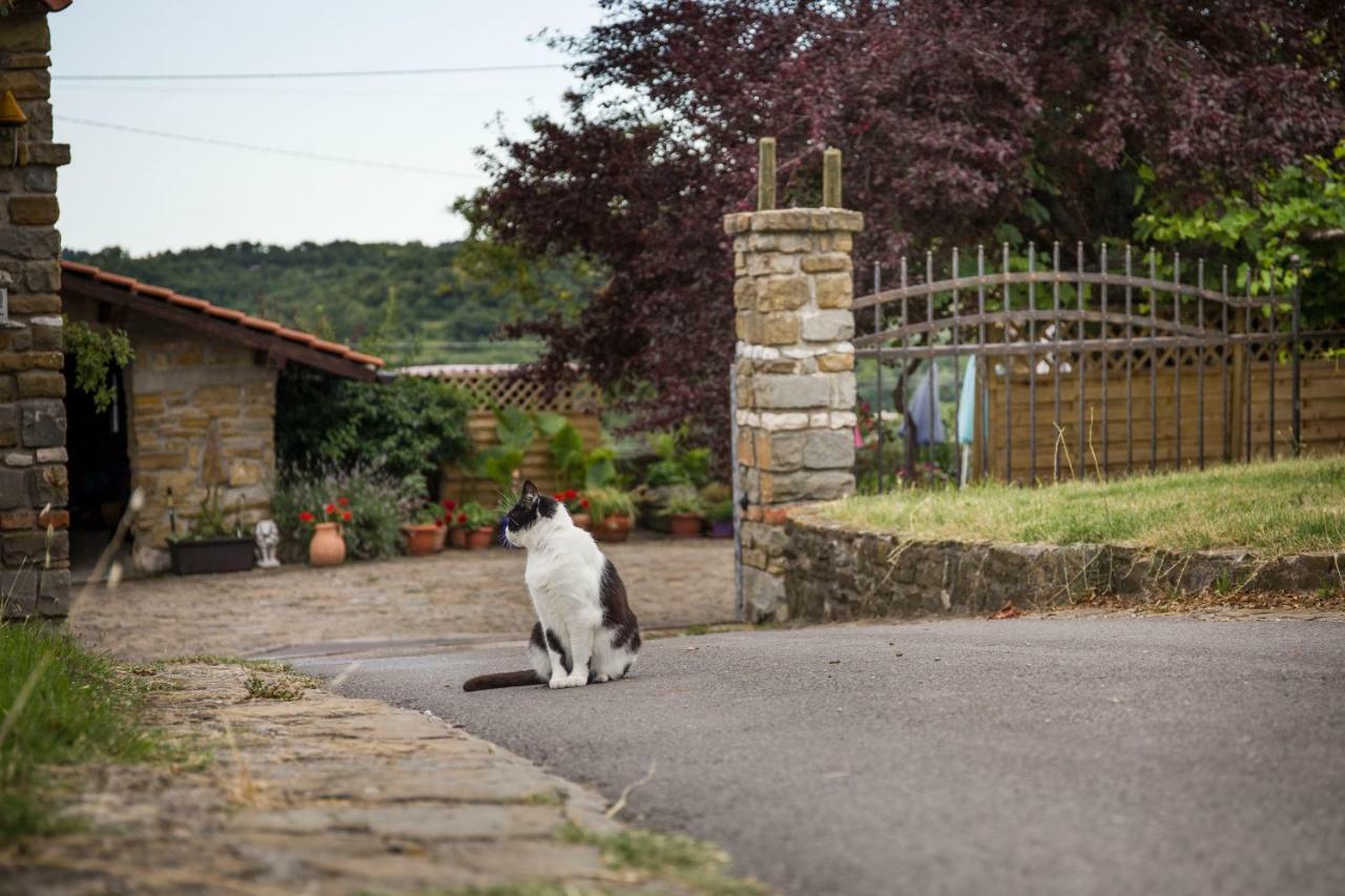 Cozy Istrian House Guest House Izola Exterior photo
