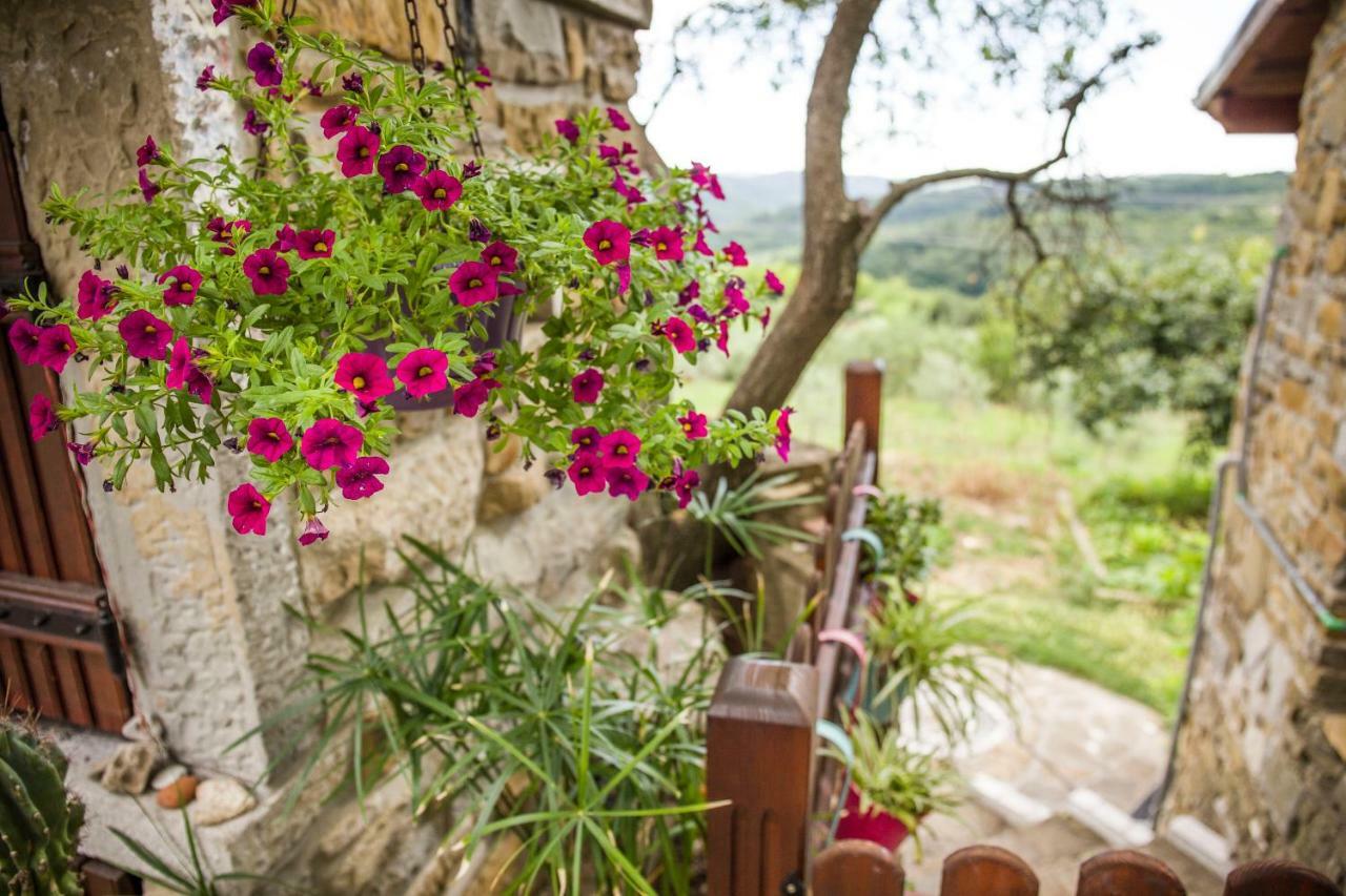 Cozy Istrian House Guest House Izola Exterior photo