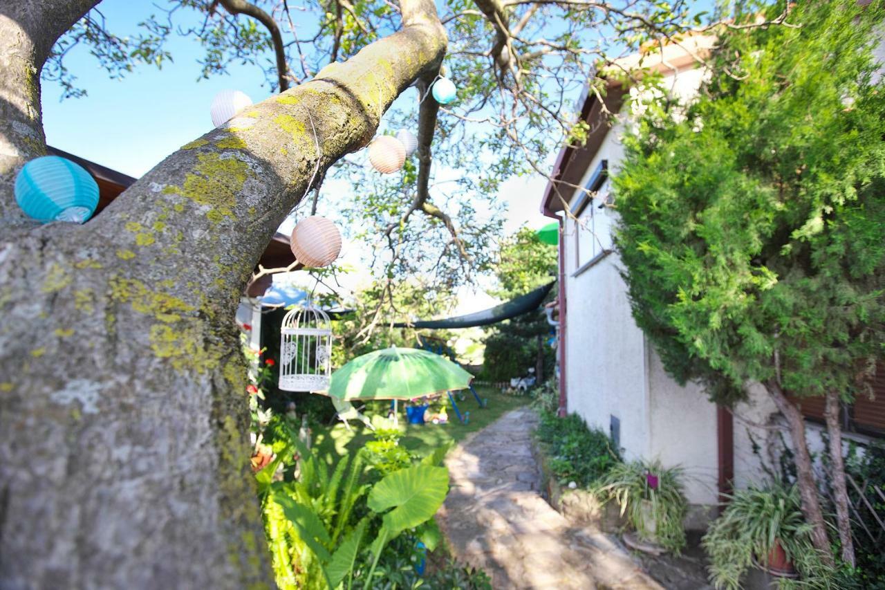 Cozy Istrian House Guest House Izola Exterior photo