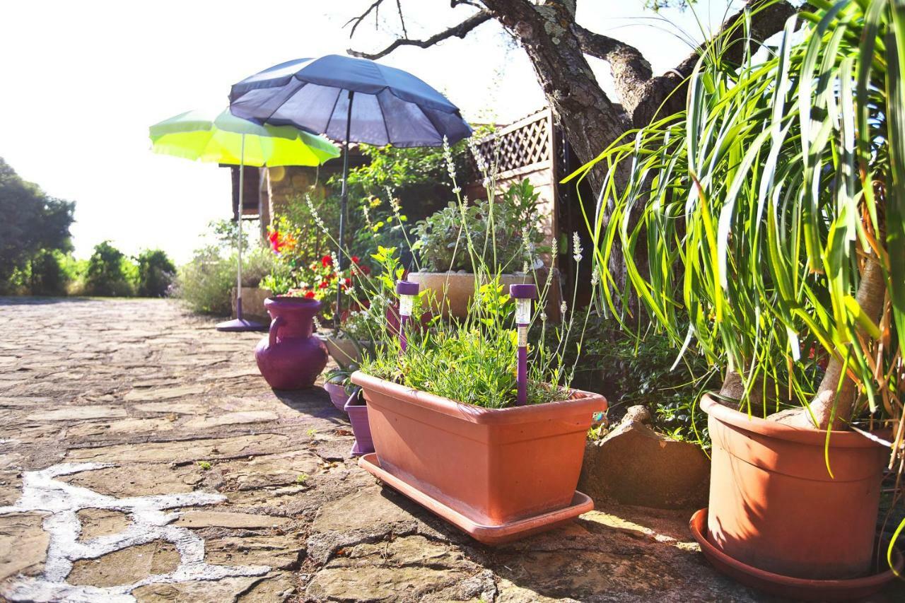 Cozy Istrian House Guest House Izola Exterior photo