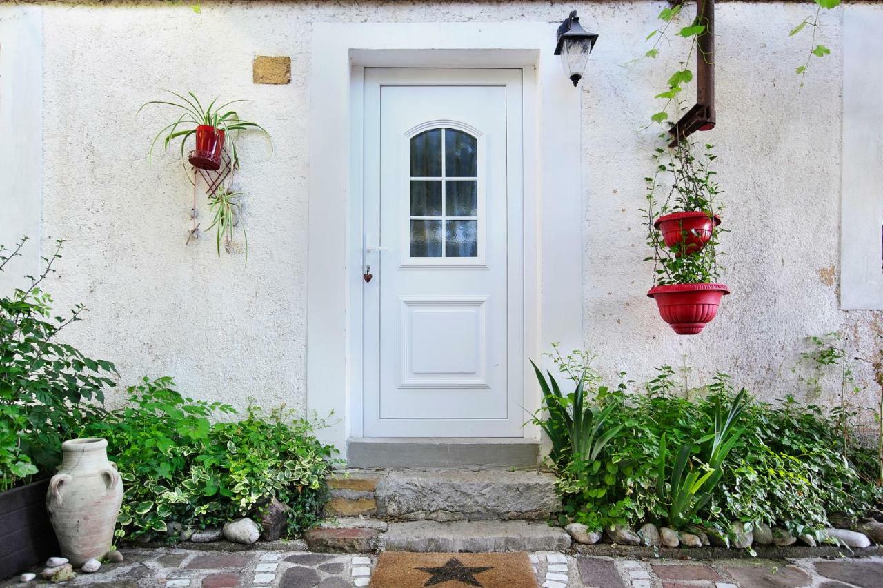 Cozy Istrian House Guest House Izola Exterior photo